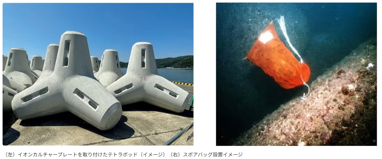 ダウンロード_202502111100