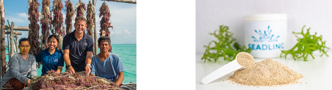 d49cde8efcf7b386e77dab19ce343301